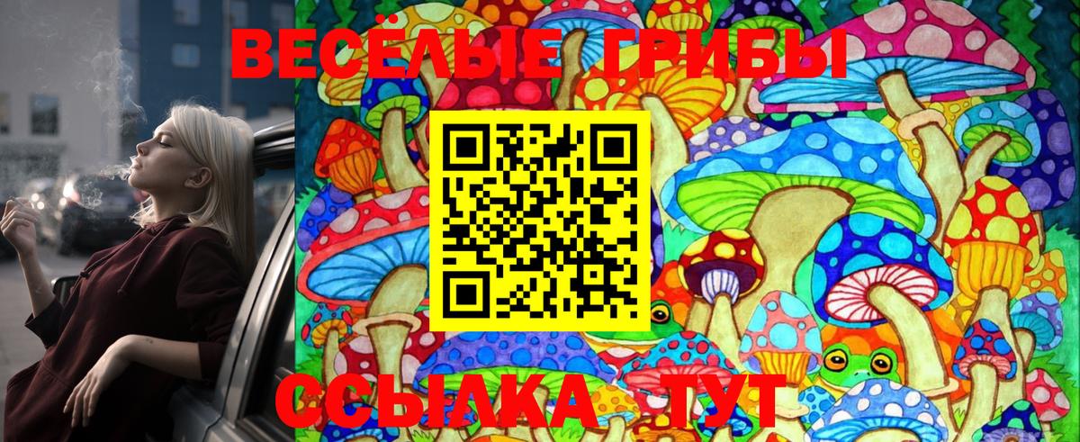 Псилоцибиновые грибы MAGIC MUSHROOMS  Галлюциногенные грибы Psilocybine cubensis  Нововоронеж  Вход с VPN 